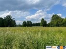 8808 m² pod zabudowę jednorodzinną i usługi. - 2