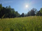 Działka budowlana Siekierczyna gm. Ciężkowice - 3