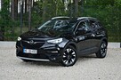 Opel Grandland X 1.5 CDTI 130KM LED! Kamera! Ideał! Zobacz Koniecznie!!! - 11