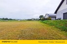 Działka 546 m2 do dzierżawy/ Potrzebujesz miejsca? - 2