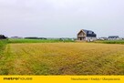 Działka 546 m2 do dzierżawy/ Potrzebujesz miejsca? - 4