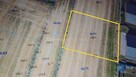 Działka 546 m2 do dzierżawy/ Potrzebujesz miejsca? - 9