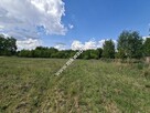 Działka przy lesie, Wiskitki 3 km - 2