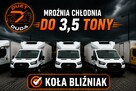 Ford Transit Chłodnia / Mroźnia Na Bliźniaku Salon PL Gwarancja Od ręki ( Iveco ) - 2