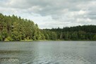 Na raty działki w lesie w otoczeniu jezior warmia