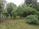 Sprzedam działkę ROD - 4