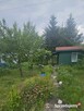 Zielona Działka ROD - Ariadna - Dąbrowskiego, Łódź - 10