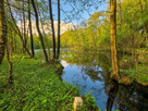 Działka inwestycyjna - 9.41ha nad jeziorem | MEDIA | MPZP | - 2