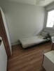 pokój jednoosobowy dla dziewczyny, centrum, wysoki standard - 1
