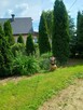 Sprzedam dom z działką - 8