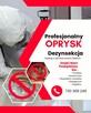 Zwalczanie Pluskiew Dezynsekcja Pest Quest Best - 2