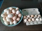 Jajka swojskie - 3