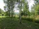 DZIAŁKI REKREACYJNO-BUDOWLANE - 4