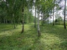 DZIAŁKI REKREACYJNO-BUDOWLANE - 6
