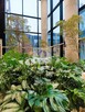 Lokal użytkowy Warszawa Żoliborz, Słomińskiego - 6