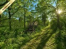 Premium Investment Plot – 2010 m² | Siedlce - 4