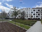 Apartamentowiec, umeblowane, okna na skwer, 2 pok. - 1
