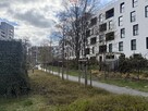 Apartamentowiec, umeblowane, okna na skwer, 2 pok. - 2
