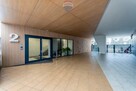 Apartamentowiec, umeblowane, okna na skwer, 2 pok. - 16