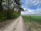 Klimatyczne siedlisko 2,2 ha z własnym lasem - 6