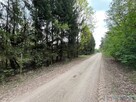 Klimatyczne siedlisko 2,2 ha z własnym lasem - 7