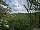Klimatyczne siedlisko 2,2 ha z własnym lasem - 12