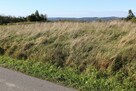 OKAZJA! Działka budowlana 600m² z WZ, Golcowa, przy asfalcie - 4