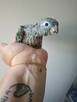 Papugi rudosterki czerwonobrzuche I pineapple ręcznie karmio - 2