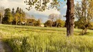 Dom na wsi - bez sąsiadów - działka 0.45ha! - 7