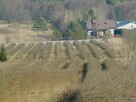 Syndyk sprzeda - Mogielnica, dz. nr 1272, 1304 oraz 1303 - 2