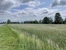 Działki z MPZP w miejscowości Niedary 25,35ar oraz 11,7ar - 3