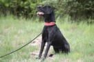 Energiczna seniorka Daisy! - 7