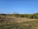 Działka rekreacyjna 1500m - 3