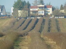 Syndyk sprzeda - Mogielnica, dz. nr 1272, 1304 oraz 1303 - 4