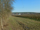 Syndyk sprzeda - Mogielnica, dz. nr 1138/1 i 1138/2 - 13