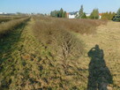 Syndyk sprzeda - Mogielnica, dz. nr 1272, 1304 oraz 1303 - 3