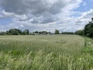 Działki z MPZP w miejscowości Niedary 25,35ar oraz 11,7ar - 1