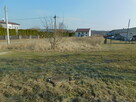Syndyk sprzeda - Mogielnica, dz. nr 1653/2 - 3