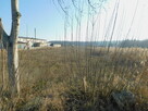 Syndyk sprzeda - Mogielnica, dz. nr 1658 i 1747 - 3