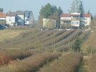 Syndyk sprzeda - Mogielnica, dz. nr 1272, 1304 oraz 1303 - 9