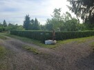 Działka ROD 3 ary, Legnica, ROD Nad Wierzbakiem