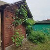 Ogródek działka rekreacyjna ROD LOTNIK Altanka - 7