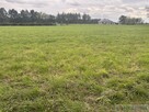 Działka budowlano-zagrodowa –Teodorów, gm. Skórzec - 3