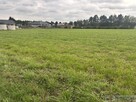 Działka budowlano-zagrodowa –Teodorów, gm. Skórzec - 4