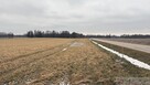 Trzy działki budowlane  – ul. Ogrodowa, Wiśniew - 5