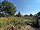 Piękna działka 1502 m2 -Żelków ul Słoneczna - 5