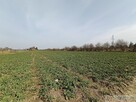 Działka na sprzedaż Stok Lacki Folwark
