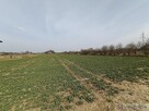 Działka na sprzedaż Stok Lacki Folwark - 4