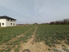 Działka na sprzedaż Stok Lacki Folwark - 5