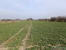 Działka na sprzedaż Stok Lacki Folwark - 7